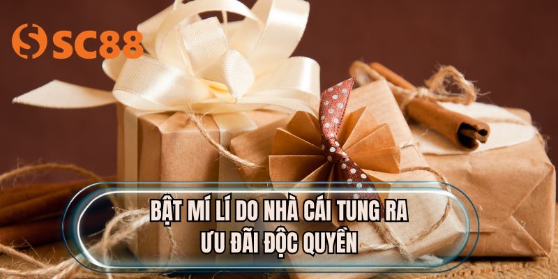 Bật mí lí do nhà cái tung ra ưu đãi độc quyền