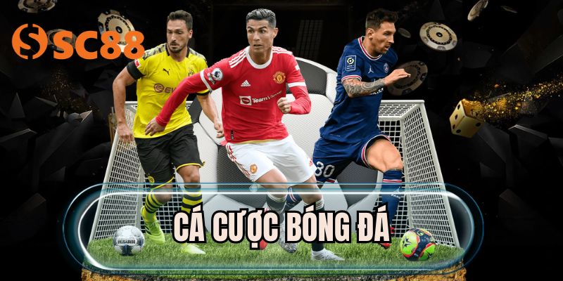 Cá Cược Bóng Đá